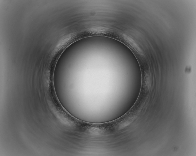 X0000091070494200708061305