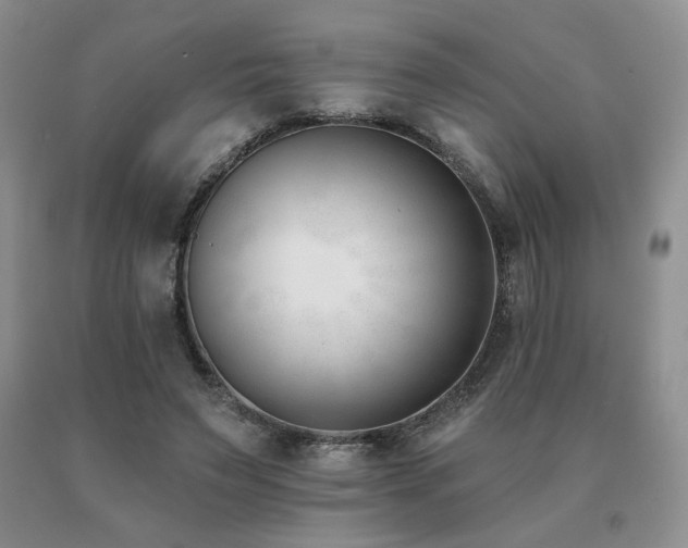 X0000091070495200708061305