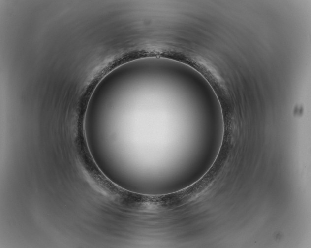 X0000091070496200708061304