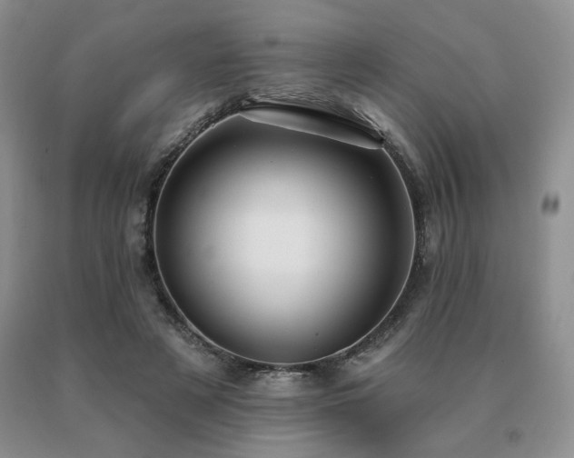 X0000091070497200708061304