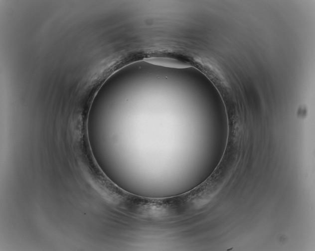 X0000091070498200708061304