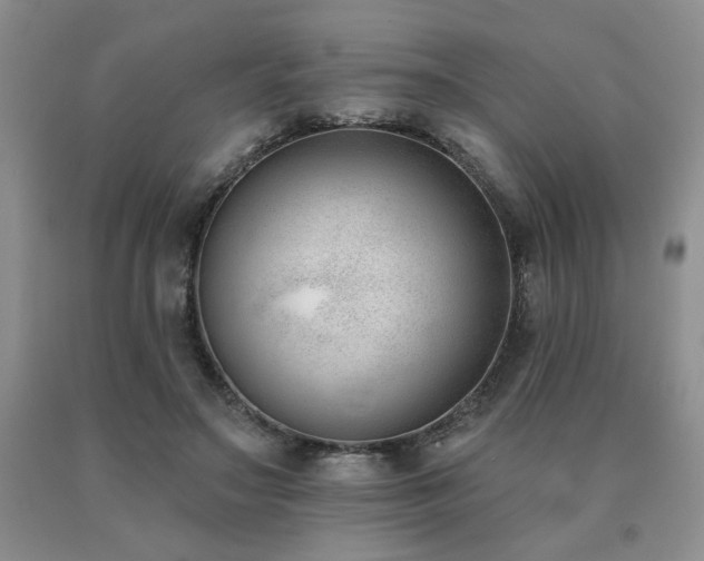 X0000091070499200708061304