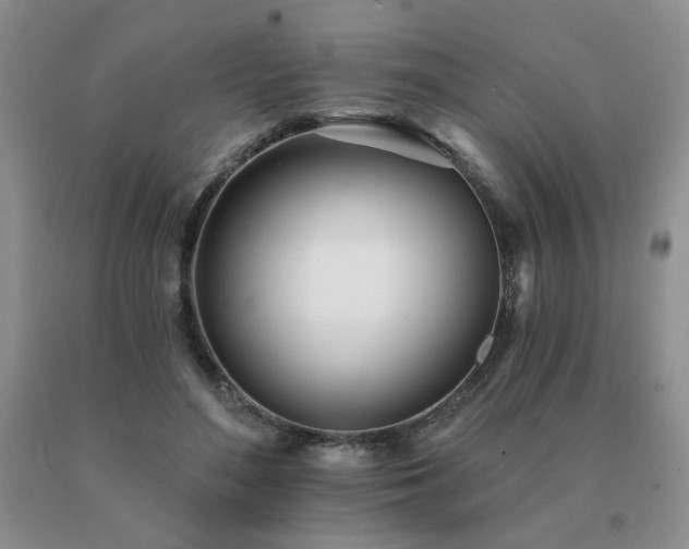 X0000091070500200708061304