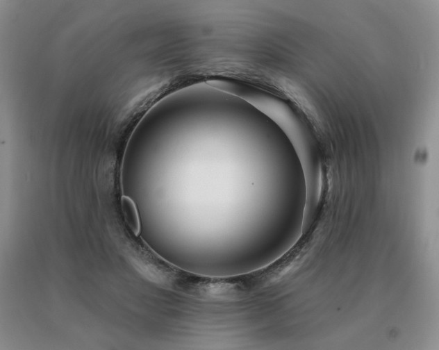 X0000091070501200708061304