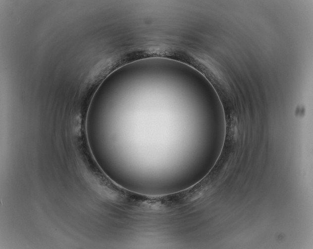 X0000091070502200708061304