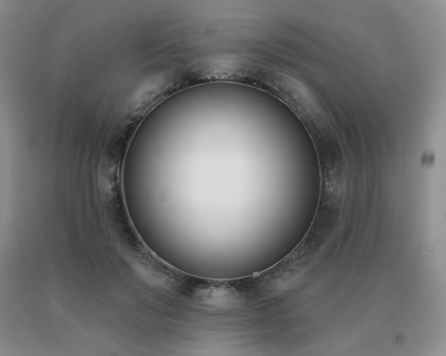 X0000091070503200708061304