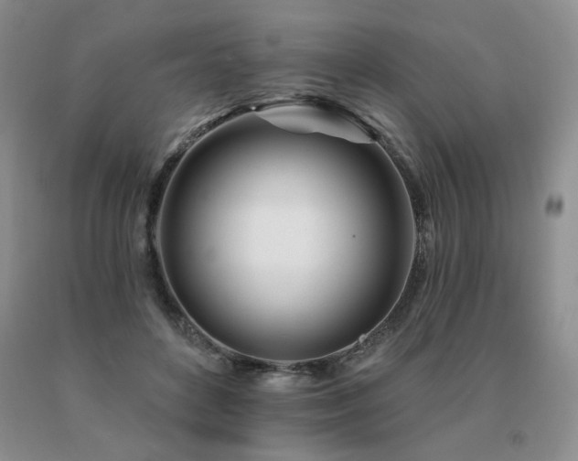 X0000091070504200708061304