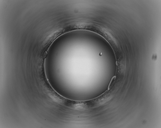 X0000091070505200708061304