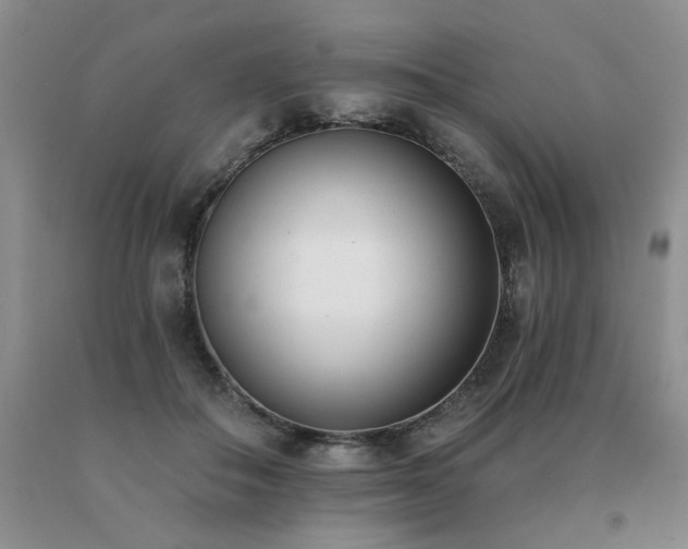 X0000091070506200708061304