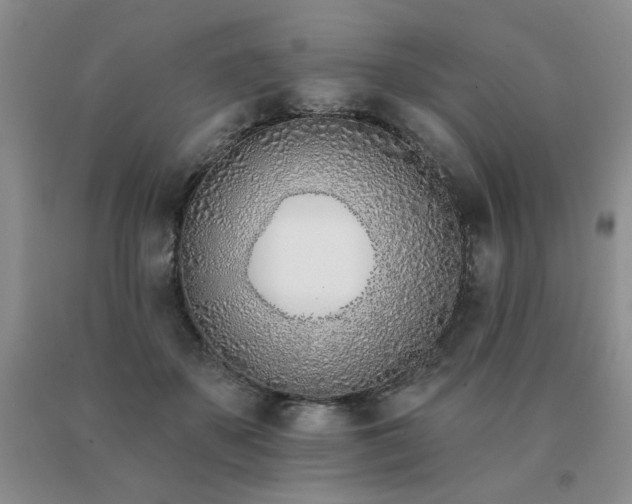 X0000091070507200708061304