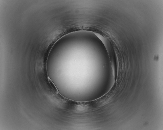 X0000091070508200708061304