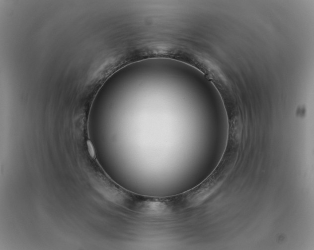 X0000091070509200708061304