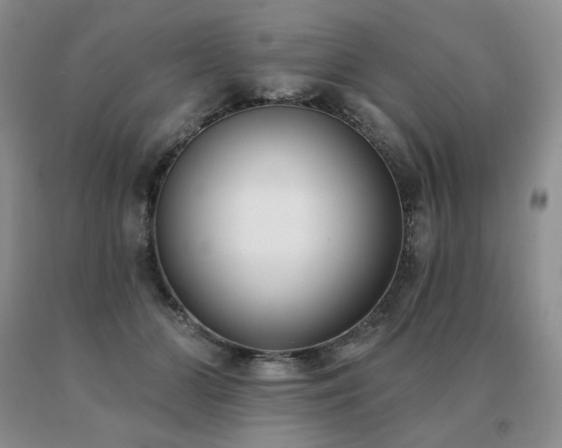 X0000091070510200708061304