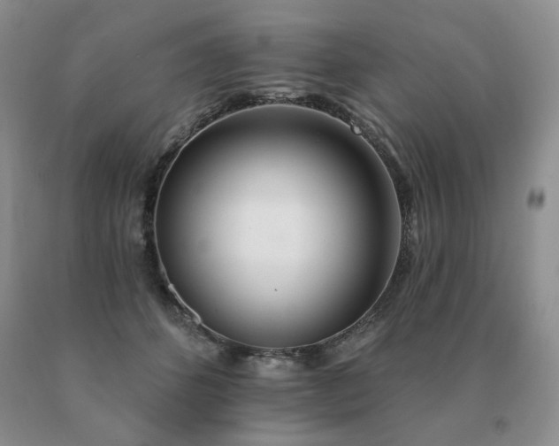 X0000091070512200708061304