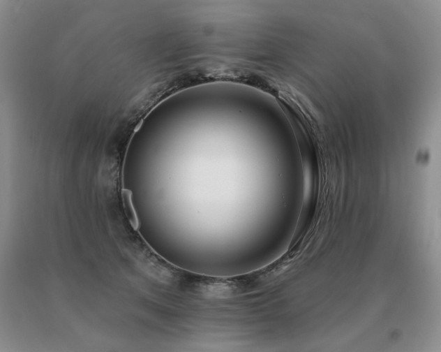 X0000091070513200708061304