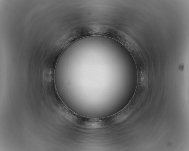 X0000091070514200708061304