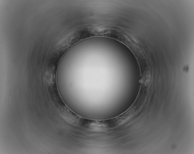 X0000091070515200708061304
