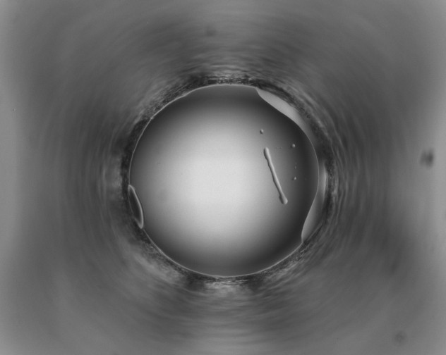 X0000091070516200708061304