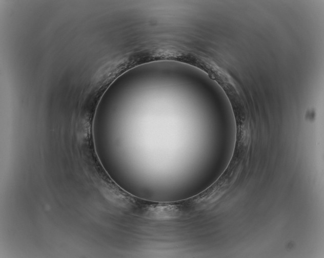 X0000091070517200708061304