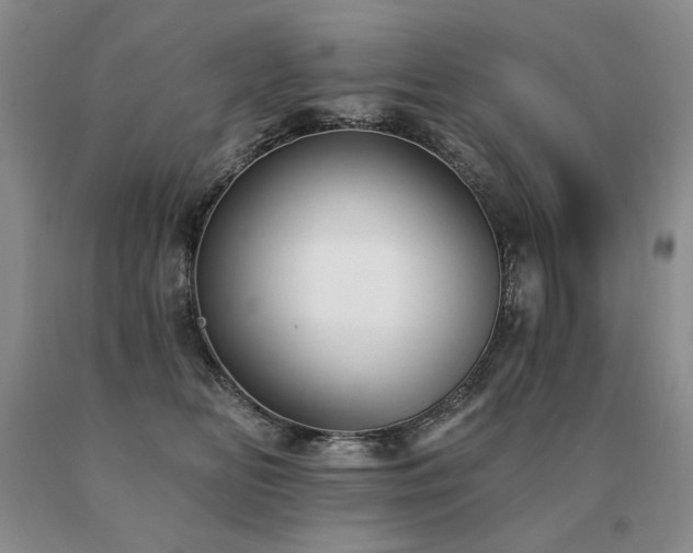 X0000091070518200708061304
