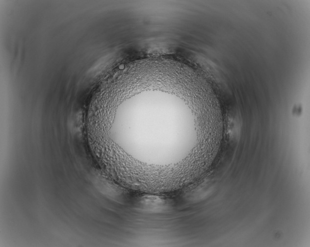 X0000091070519200708061304
