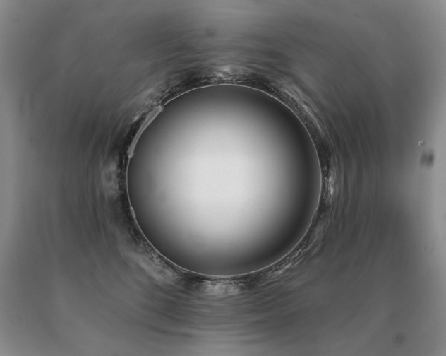 X0000091070520200708061304
