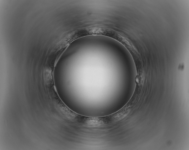 X0000091070521200708061304