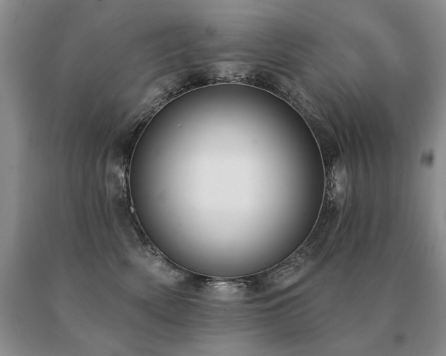 X0000091070522200708061304