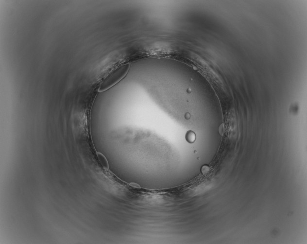 X0000091070523200708061304