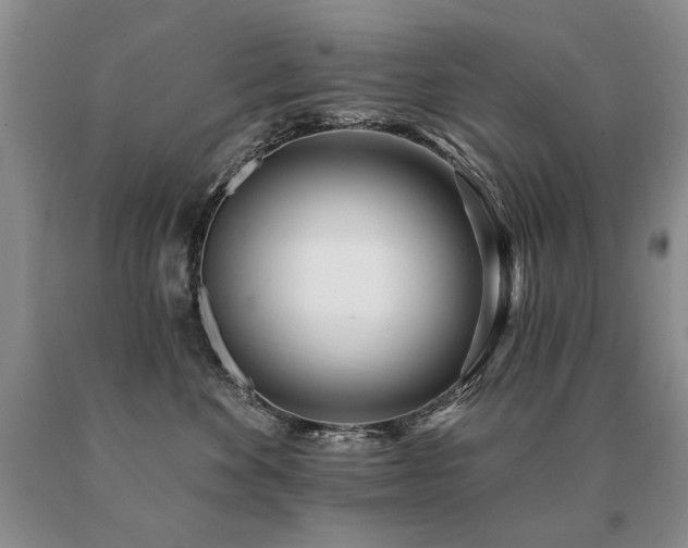 X0000091070524200708061304