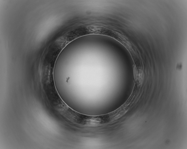 X0000091070525200708061304