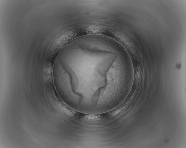 X0000091070526200708061304