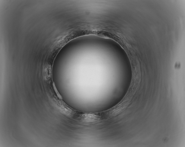 X0000091070528200708061304