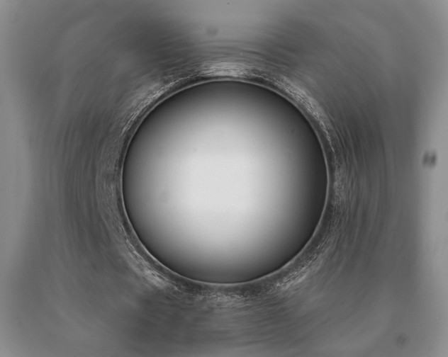 X0000091070529200708061303