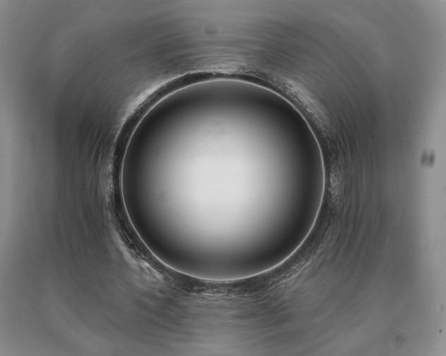 X0000091070532200708061304