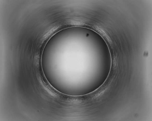 X0000091070533200708061304
