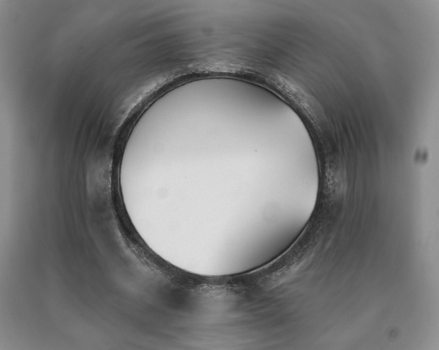 X0000091070534200708061304