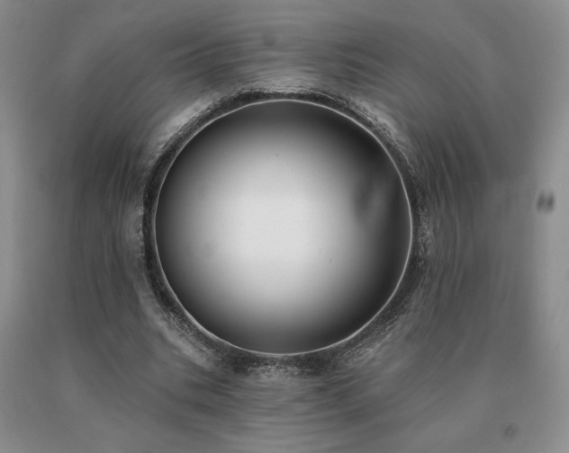 X0000091070535200708061304