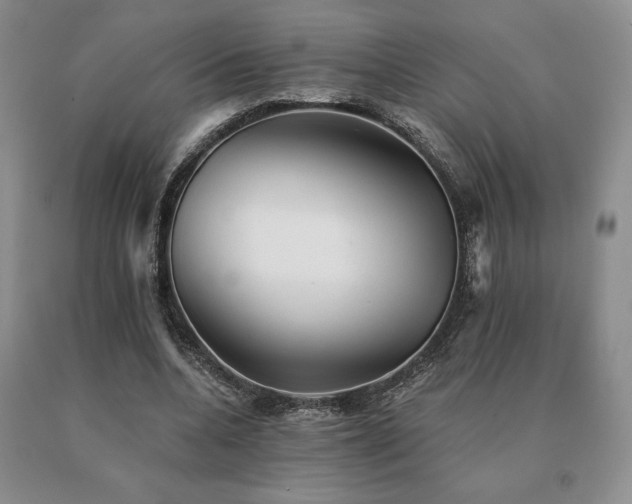 X0000091070536200708061304