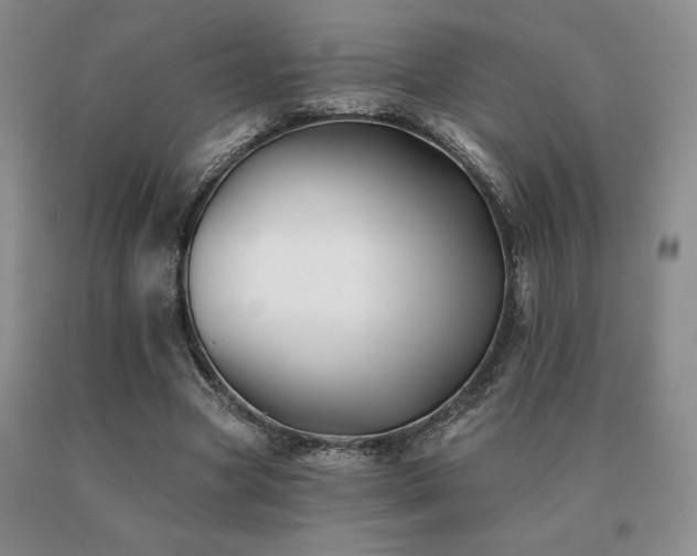 X0000091070537200708061304