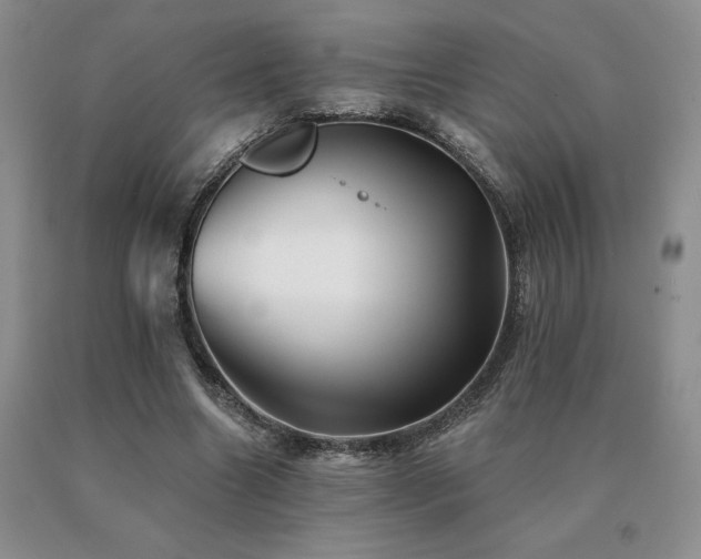 X0000091070538200708061304