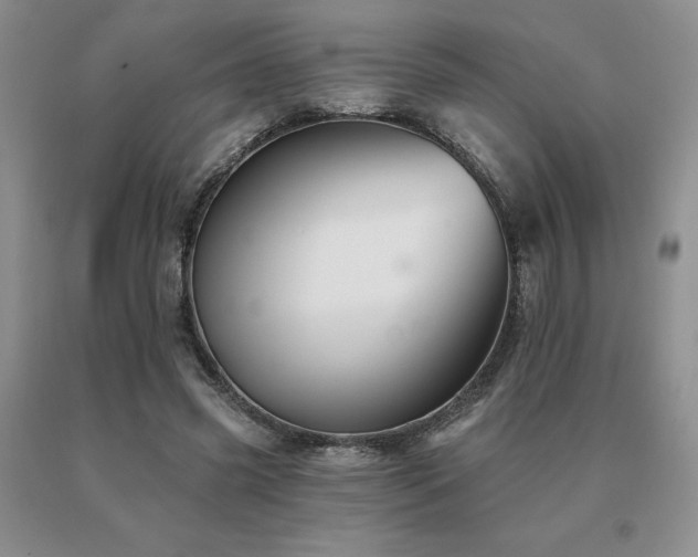 X0000091070541200708061304