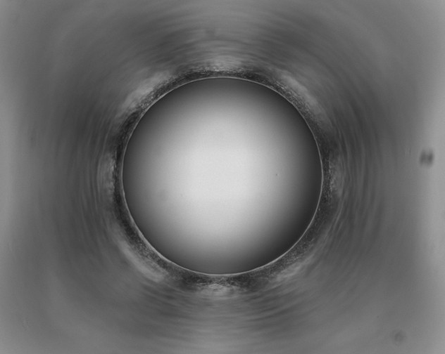 X0000091070542200708061304