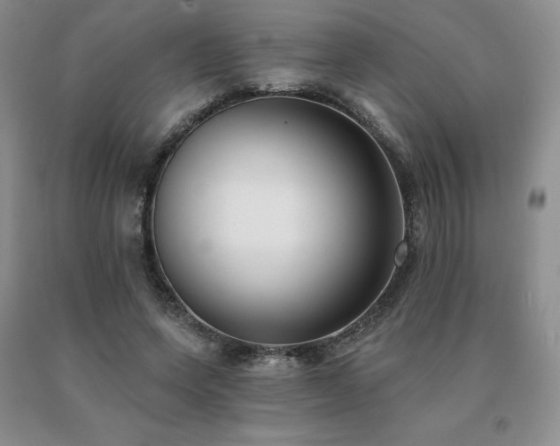 X0000091070543200708061304