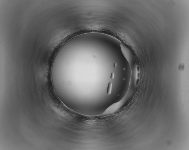X0000091070544200708061304