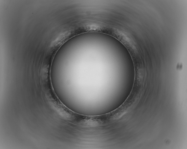 X0000091070545200708061304