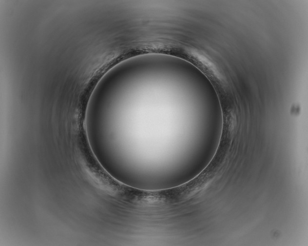 X0000091070546200708061304