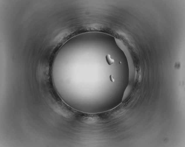 X0000091070548200708061304