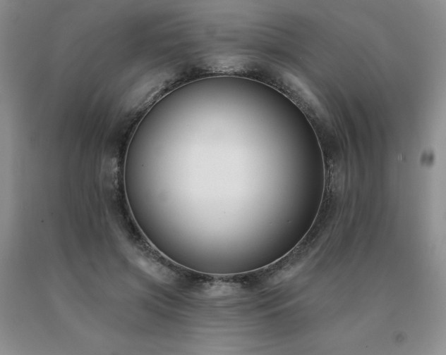X0000091070549200708061304