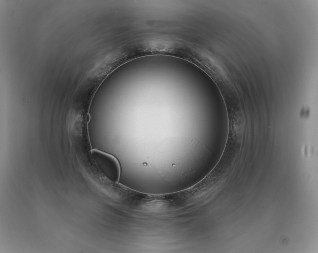 X0000091070551200708061304